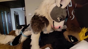 Furry Sex Murrsuit Compilation Moan Part 4 free video